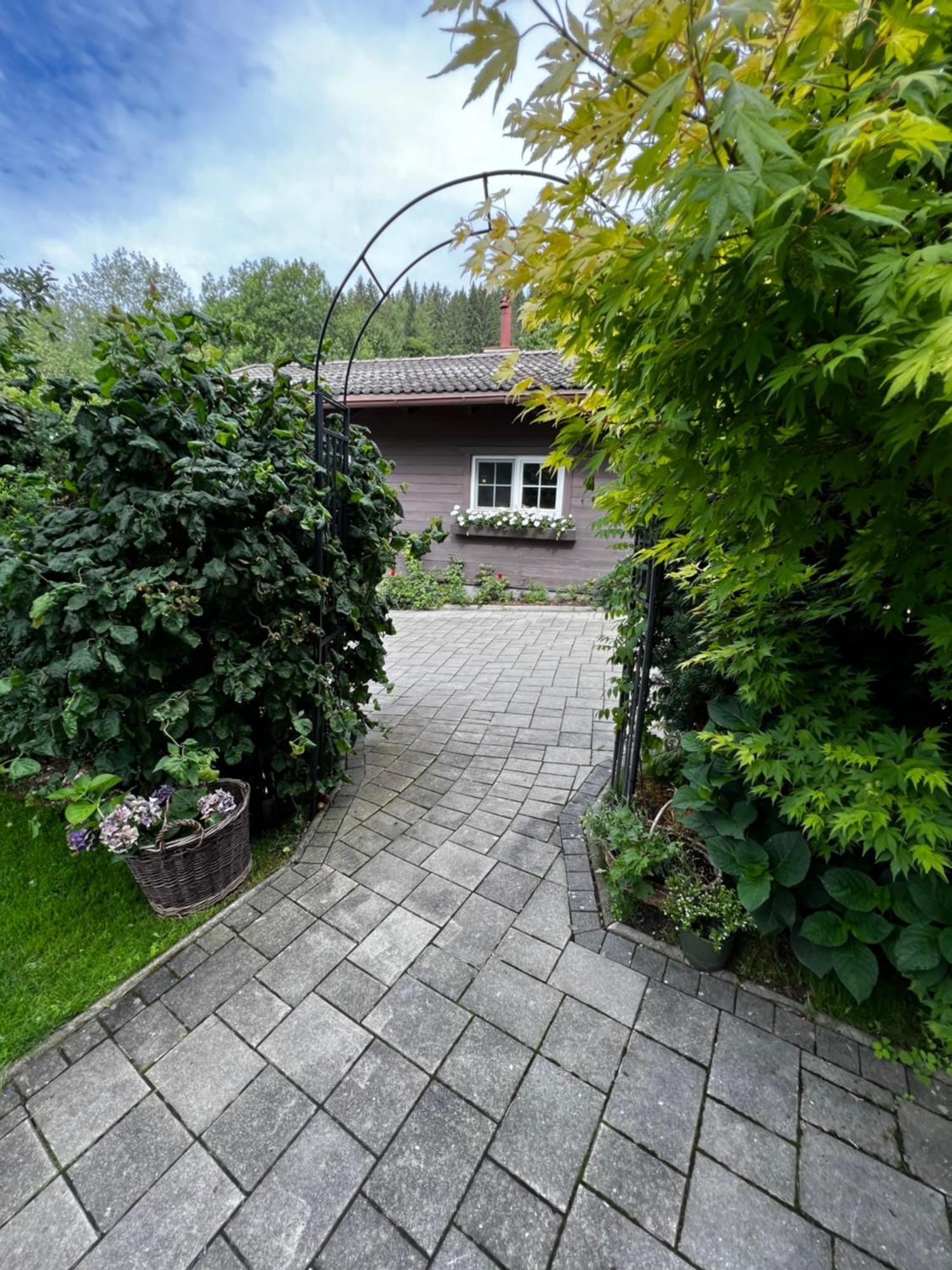 Vila Tini House Wagrain Exteriér fotografie