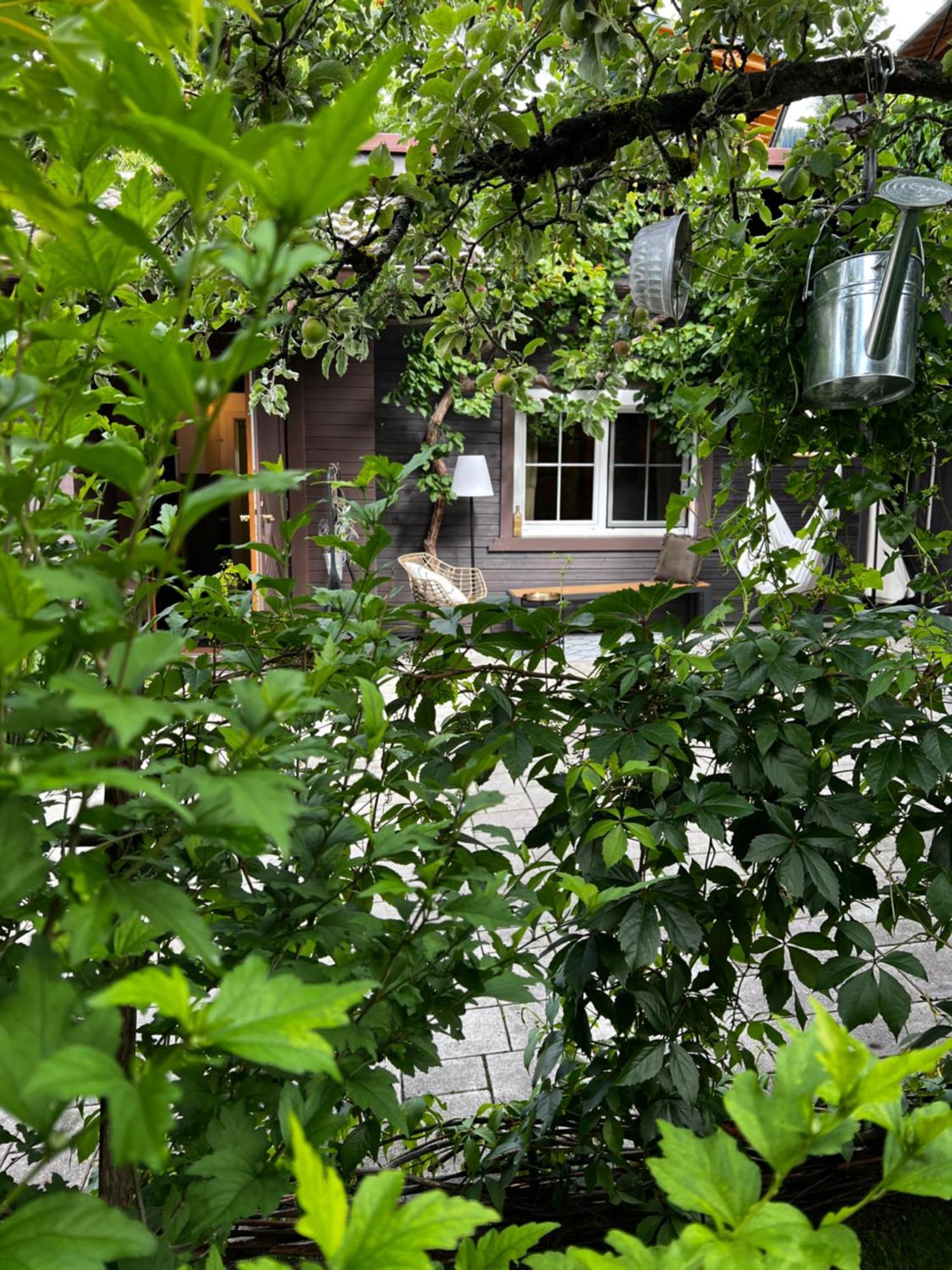 Vila Tini House Wagrain Exteriér fotografie